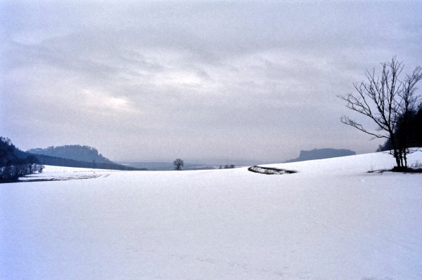 Königstein Lilienstein