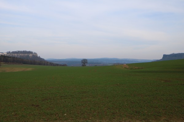 Königstein - Lilienstein