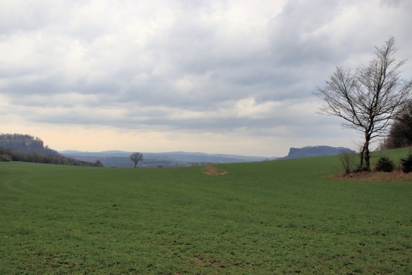 Königstein Llilienstein