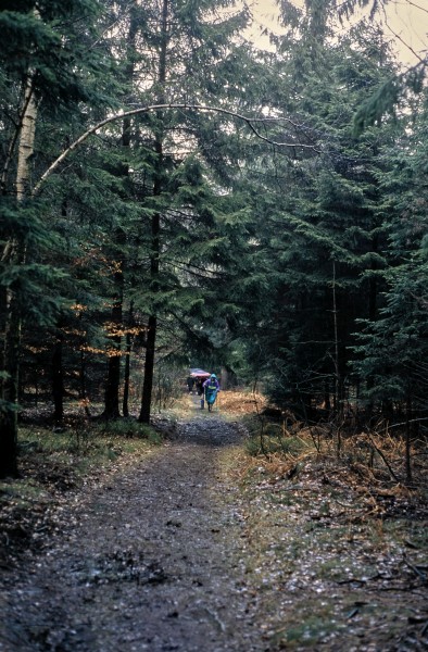 Oberer Kohlweg