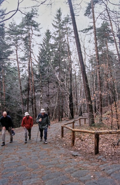 Pfaffenstein