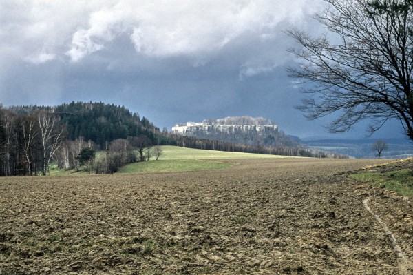 Quirl - Königstein