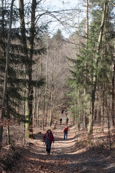 Weg Pfaffenstein