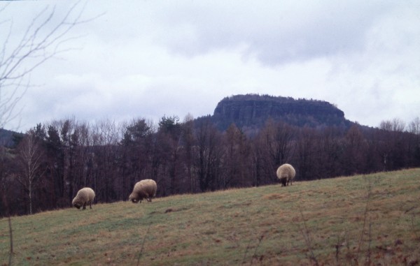 Pfaffensteinblick