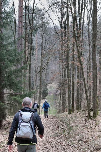 Waldweg