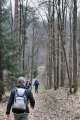 Waldweg