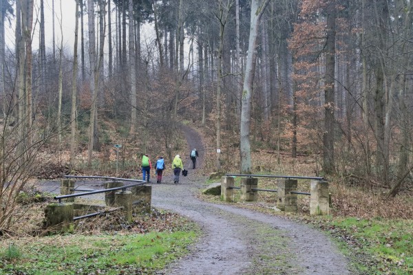 Waldweg