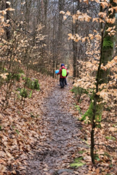 Pladerbergweg