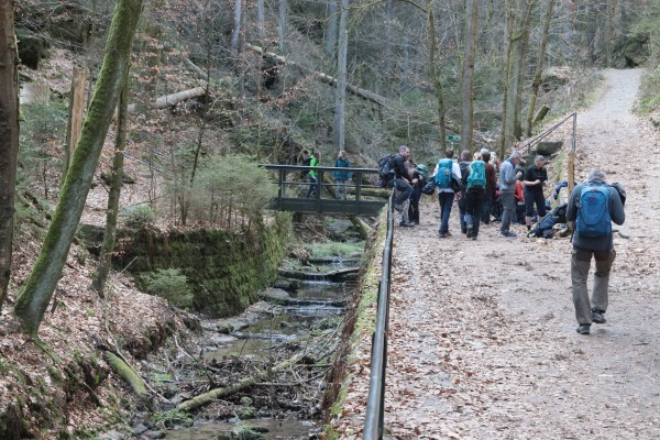 Amselgrund