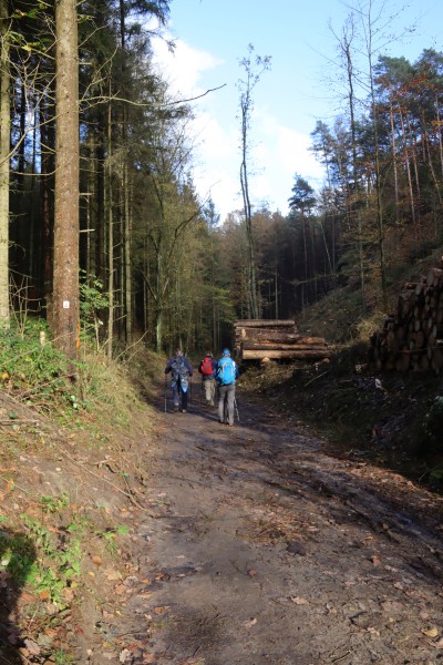 Füllhölzelweg