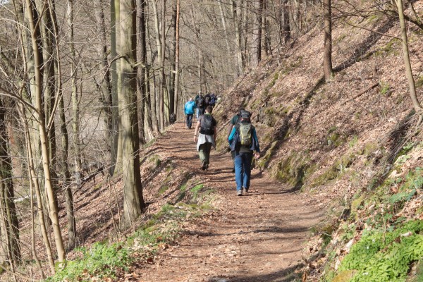 Kottesteig