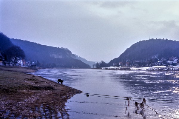 Elbe