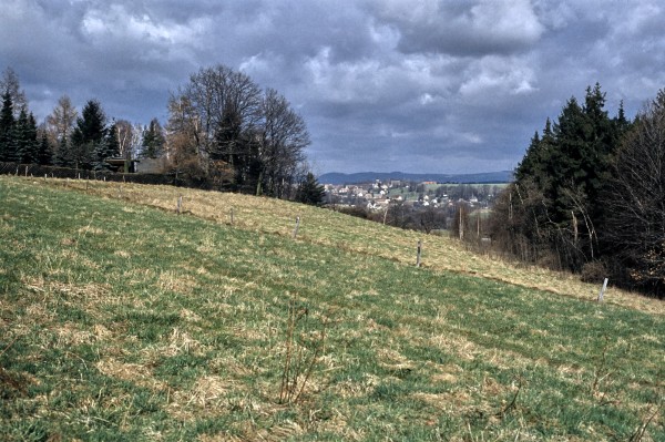 Damengrund