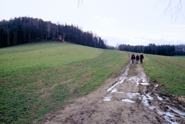 Feldflur