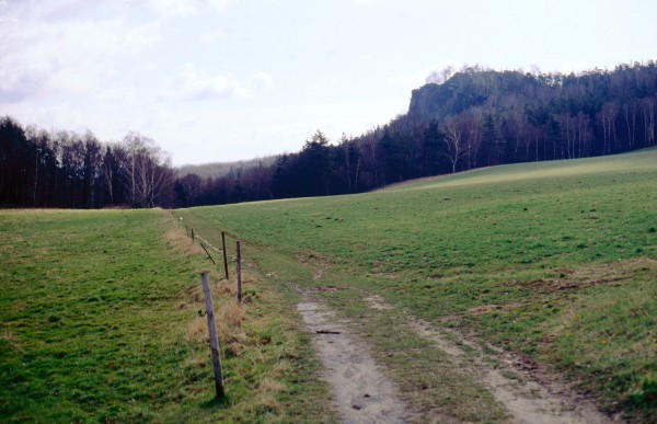 Feldflur