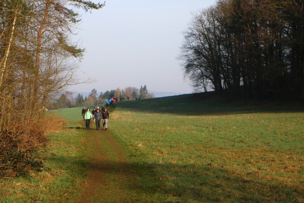 Wiese Bärenstein