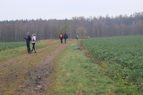 Feldweg