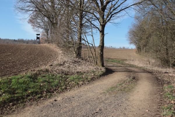 Feldweg