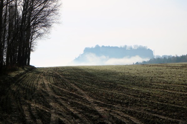 Königsteinblick