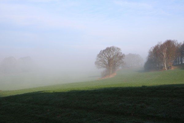 Nebel Kahler Stein