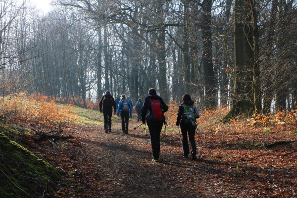 Spitzbergweg