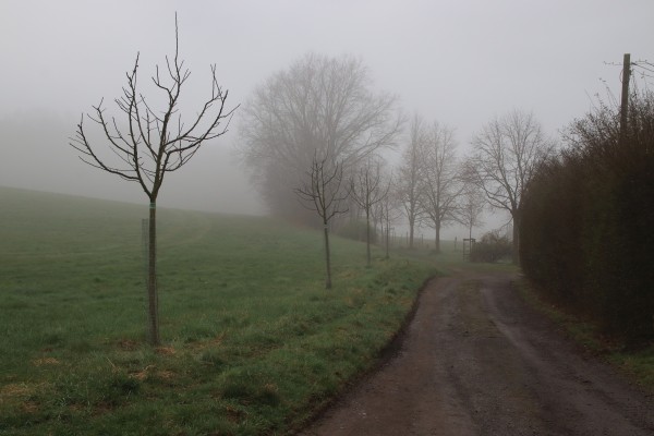 Spitzbergweg