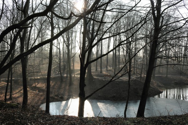 Thürmsdorfer Teich