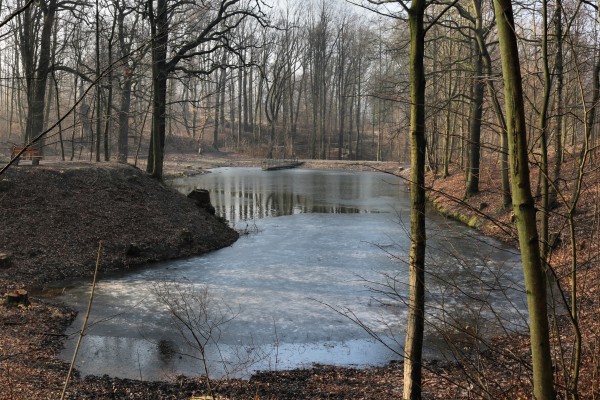 Thürmsdorfer Teich