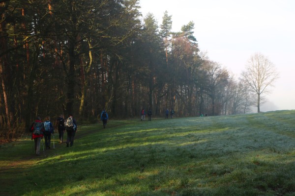 Wiese Bärenstein