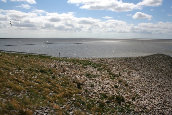 Wattenmeer