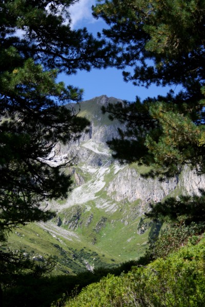 Grinbergkarblick