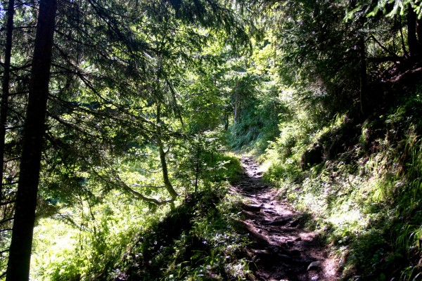 Hermann-Hecht-Weg