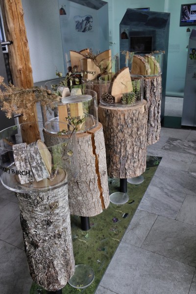 Ausstellung