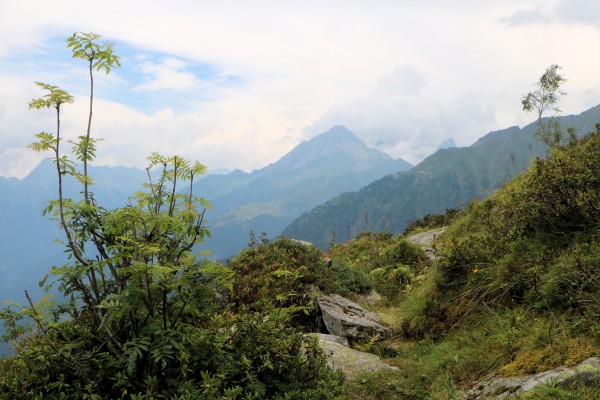 Ahornspitze