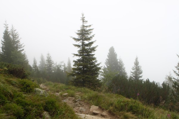 Weg Olperer Hütte