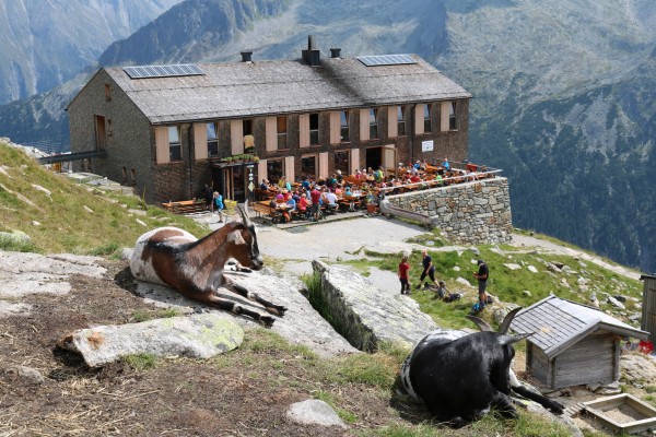 Olperer Hütte