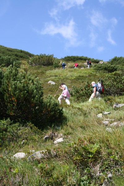 Weg Olperer Hütte