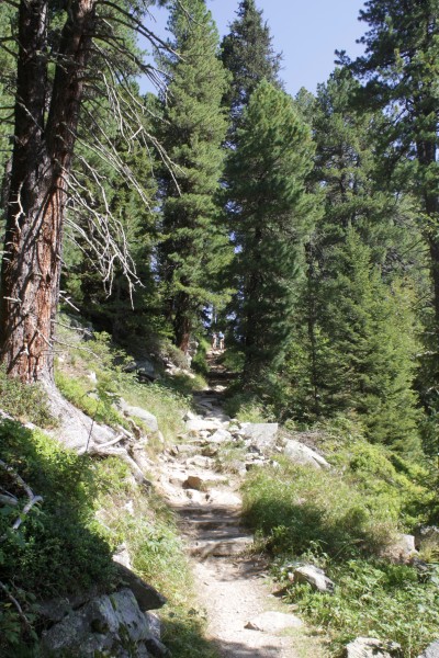 Weg Olperer Hütte