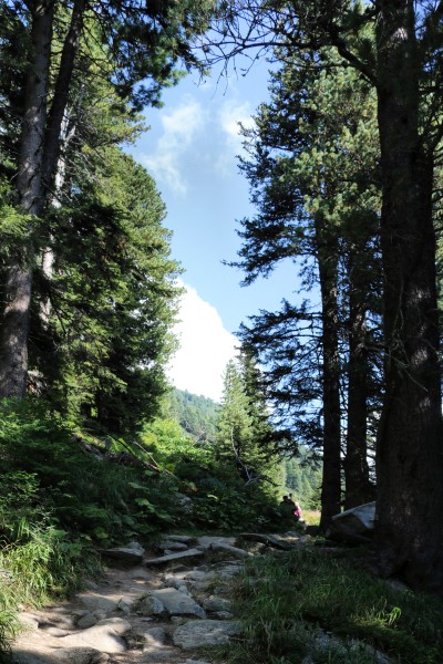 Weg Olperer Hütte