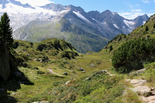 Schwarzensteinalm