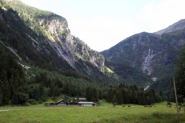 Schwemmalm