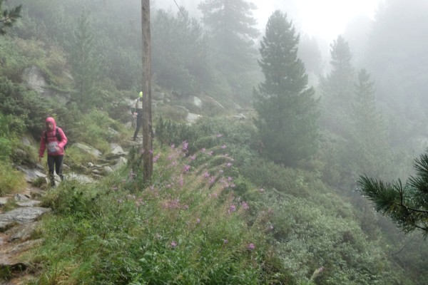 Weg Berliner Hütte