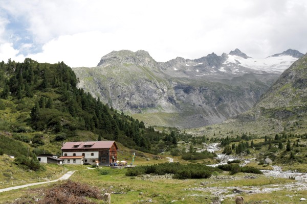 Zemmgrund - Alpenrose