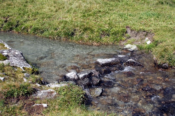 Hundskehlbach_Trittsteine_20060819032.jpg