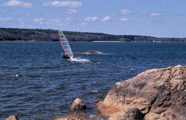 Windsurfer