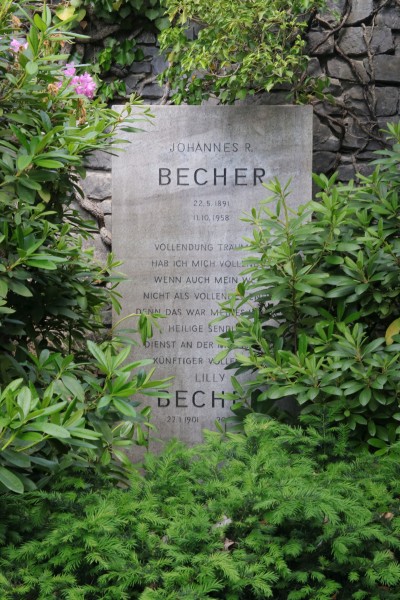 Becher