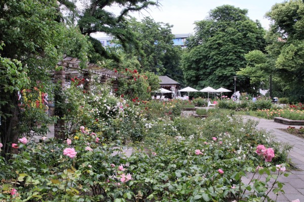 Rosengarten