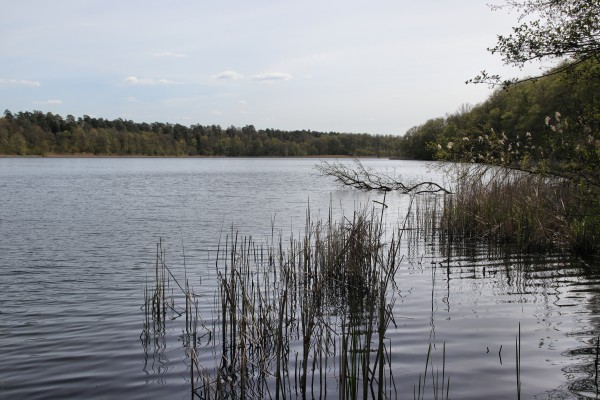 Fängersee