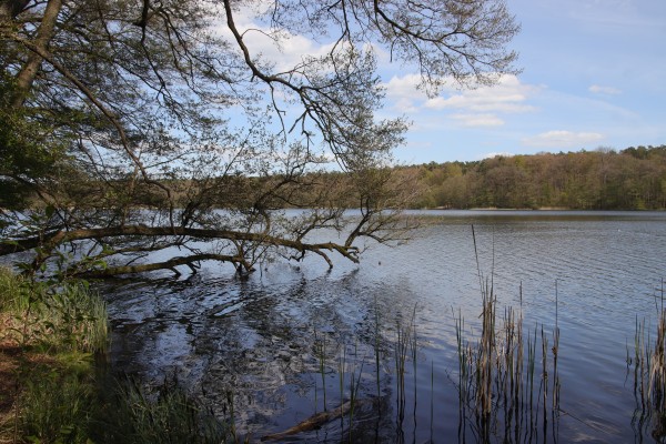 Fängersee