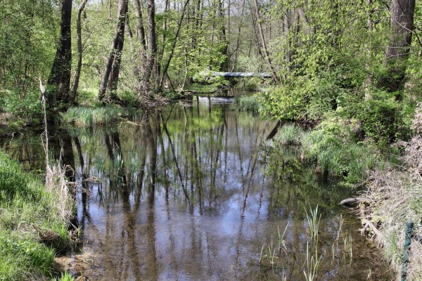 Mühlenfließ
